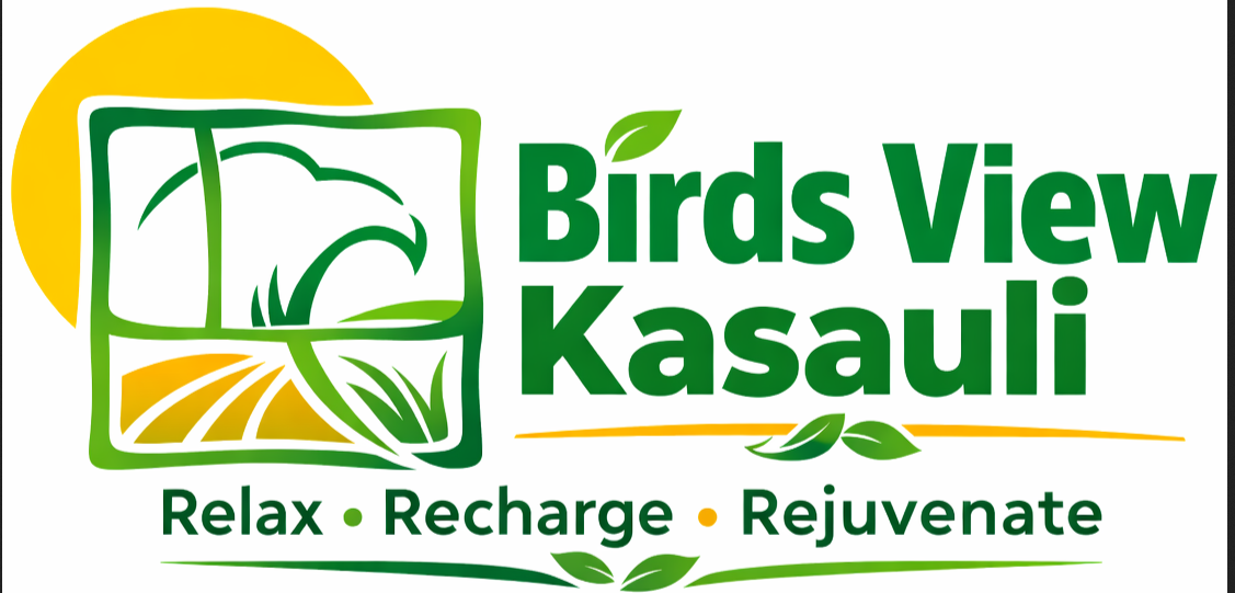 Birds View Kasauli logo